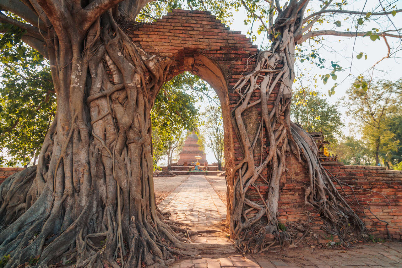 Ayutthaya Wat Phra Ngam Gate, Thailand
